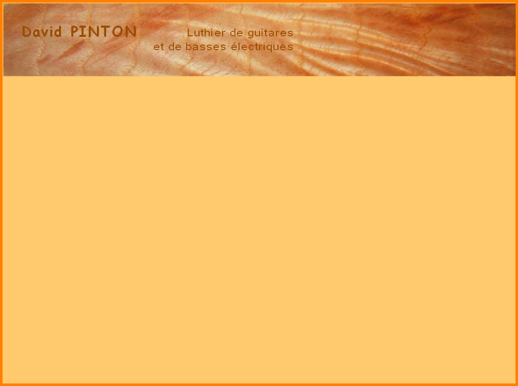 David PINTON Luthier de guitares et de basses électriques
