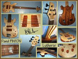 David PINTON Lutherie